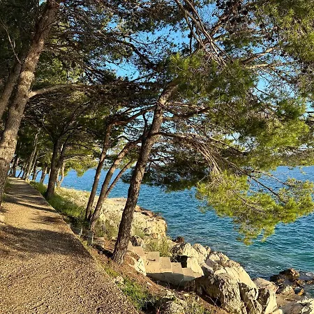 Sea La Vie *