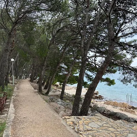 Sea La Vie *